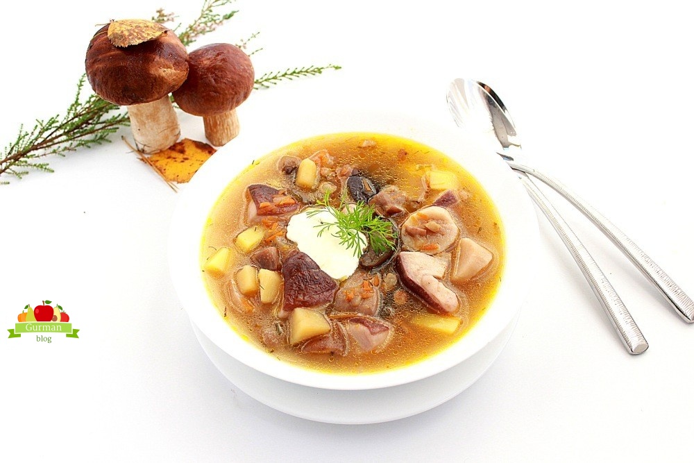 Грибовница из грибов свежих