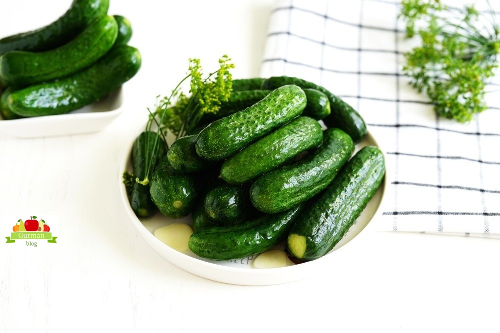 Малосольные огурцы в холодной воде в кастрюле