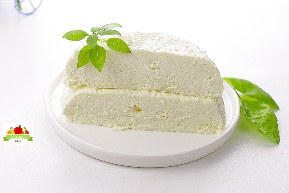 Рецепт адыгейского сыра в домашних условиях из молока